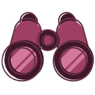 About Us 3 WhiteRaven Icons Vision 100